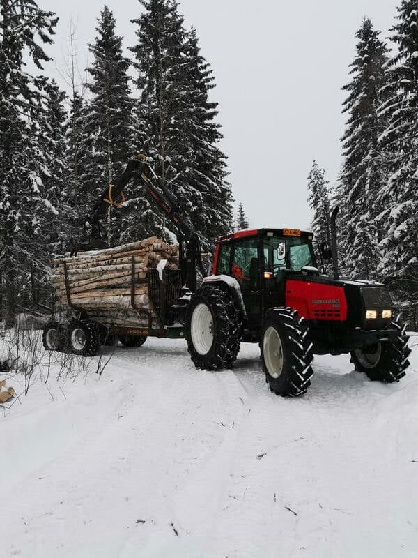 Traktori ja metsäperävaunu täynnä koivurankaa lumisessa metsässä